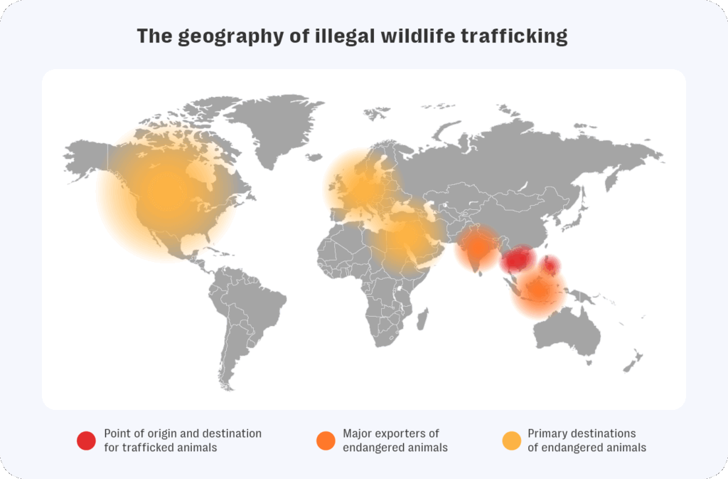 Resolver map showing the global geography of illegal wildlife trafficking. Red regions—such as indonesia, vietnam, and parts of thailand—indicate points of origin and destination for trafficked animals. Orange zones in india, myanmar, and parts of africa highlight major exporters of endangered species. Yellow areas in north america, europe, and east asia show primary destinations. This visualization illustrates the worldwide flow of wildlife trafficking routes.